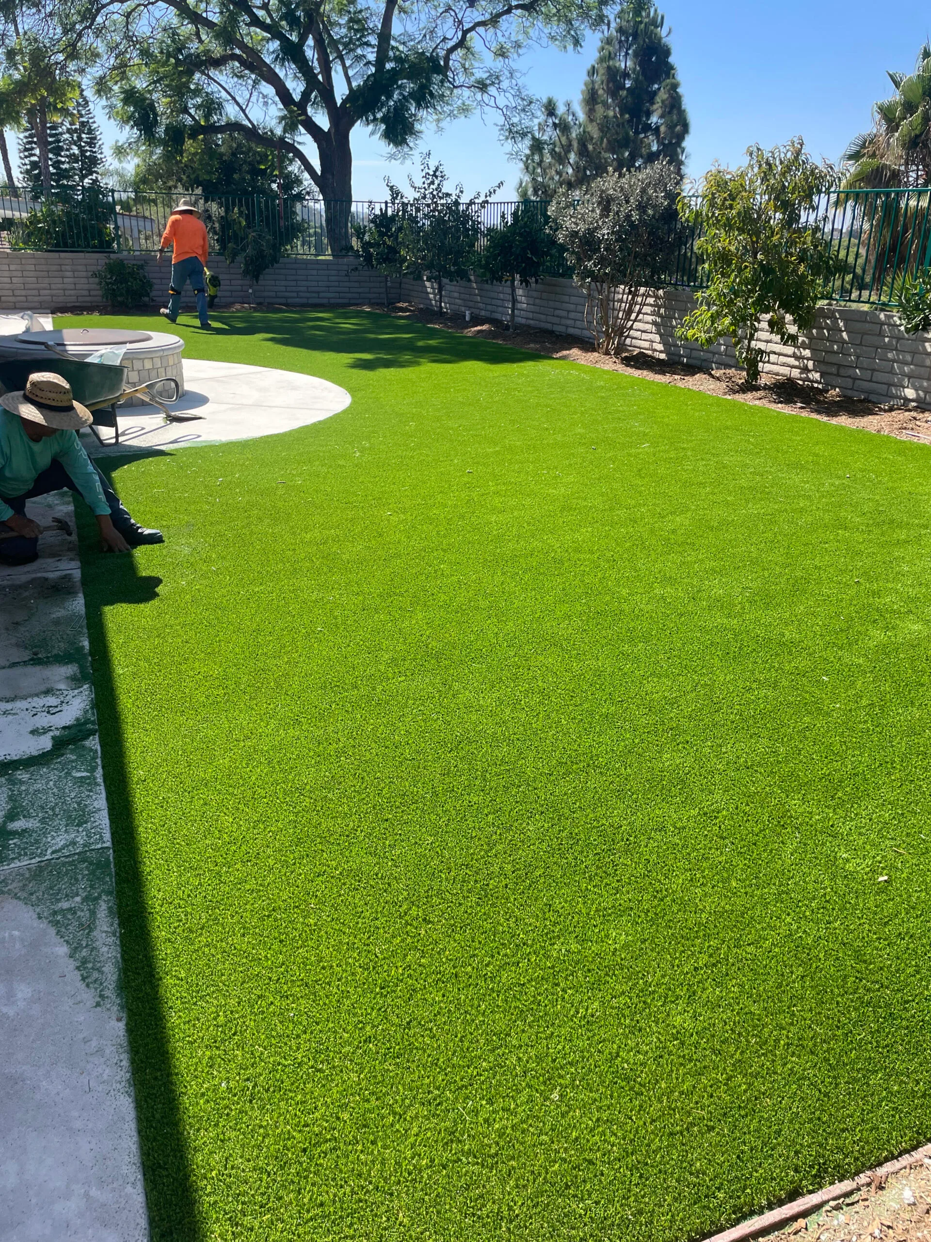 Front and Back Yards