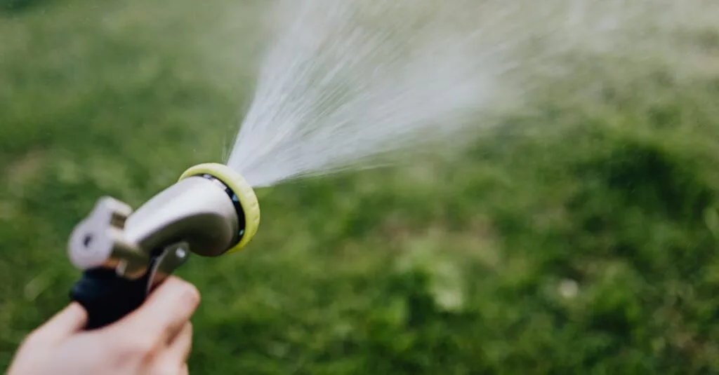 A home owner spraying water onto their lawn using a hose.
