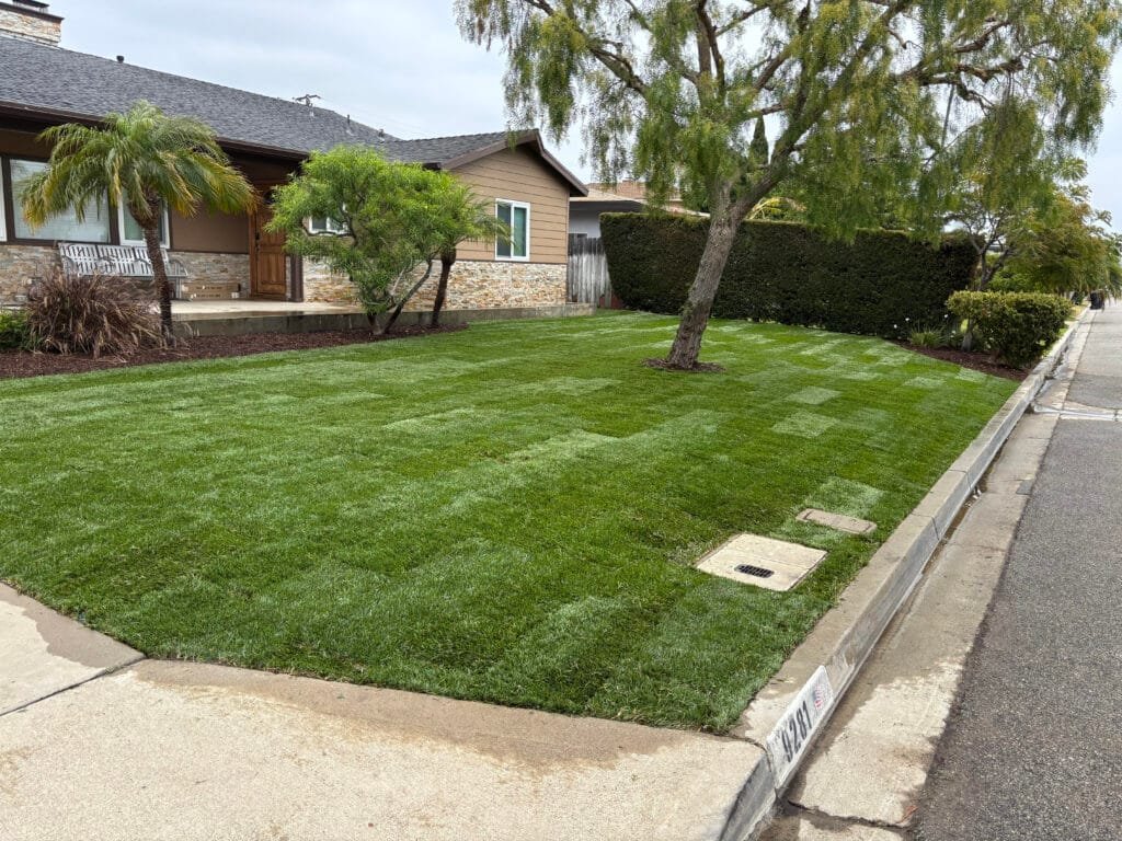 Sod Installation Newport Beach Ca